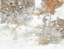 Winter Walk-1