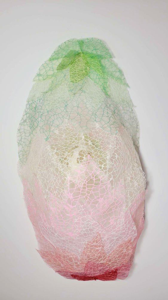 Womb: 7th Edition