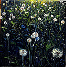 Dandelions-1