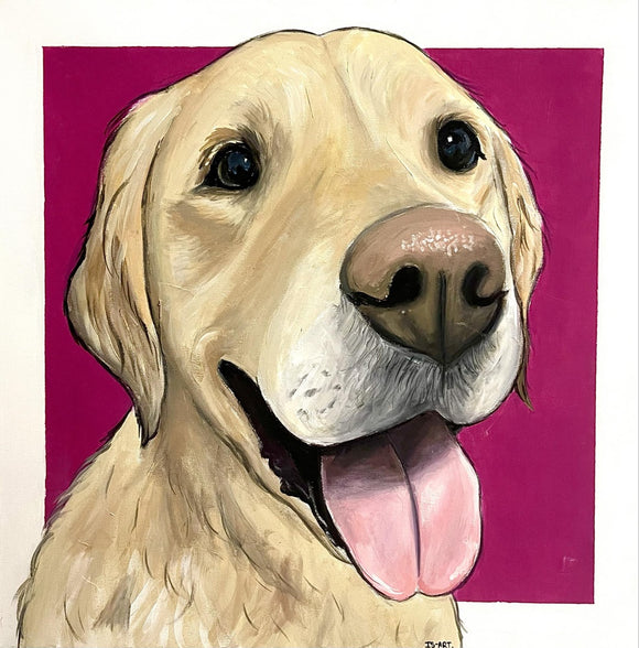 Golden Retriever