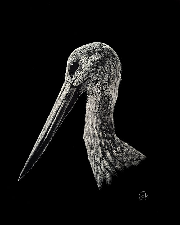White Stork of Andalucia