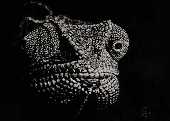 The one most adaptable to change