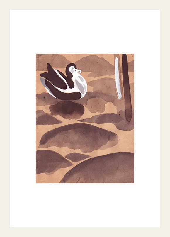 The Conference of the Birds