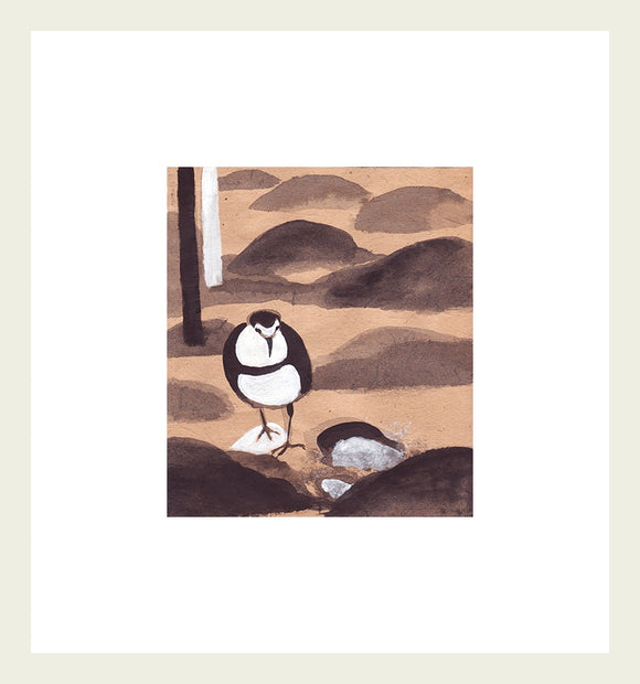 The Conference of the Birds