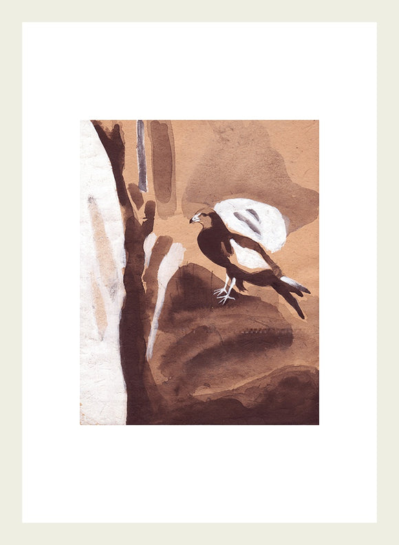 The Conference of the Birds