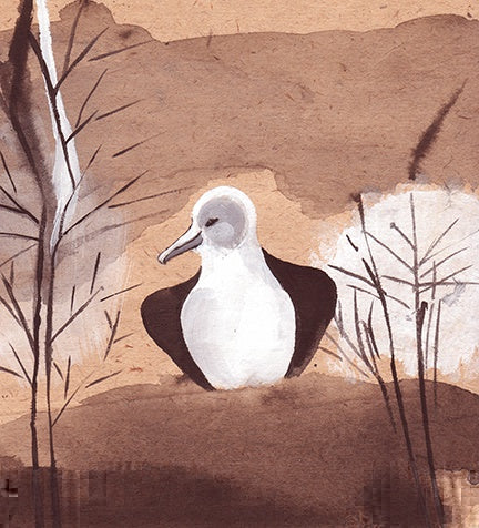 The Conference of the Birds