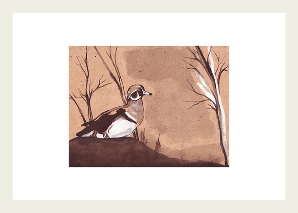 The Conference of the Birds