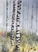 Birch Trees-1