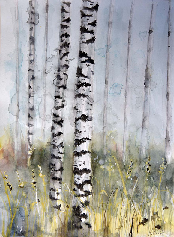Birch Trees