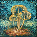 Fungus lucidum-1