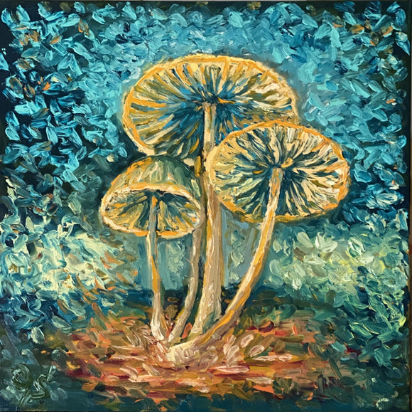 Fungus lucidum