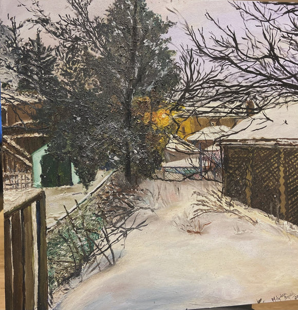 The backyard