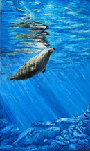 Breaking the Surface-1
