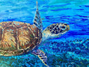 Seagrass serenade-2