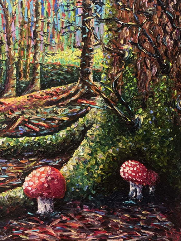 Sunlit forest