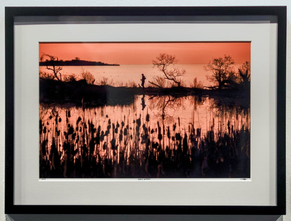 'Early Birder'