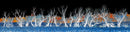 'Gnarled Trees, in Abstract'-1