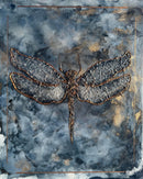 DRAGONFLY-1