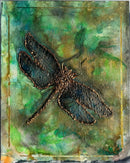 Dragonfly-1