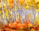 Aspen Trees-1