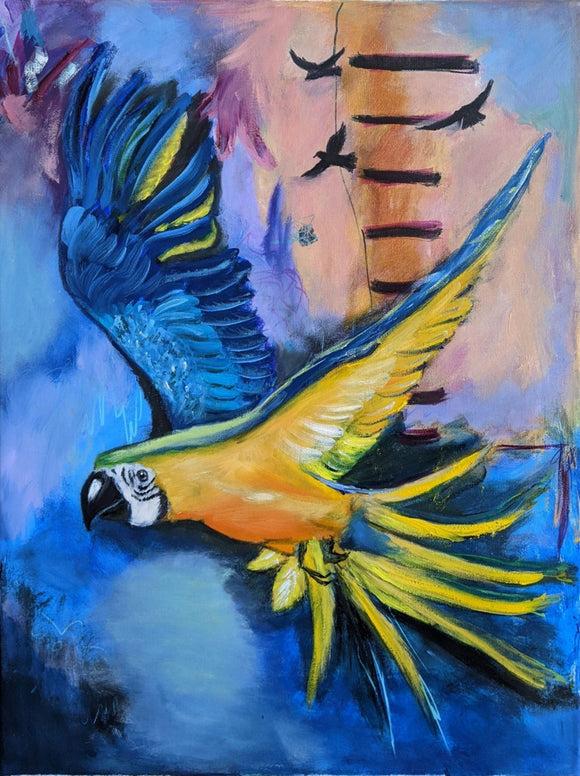 Freedom of Wings