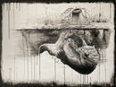Cannonball-1