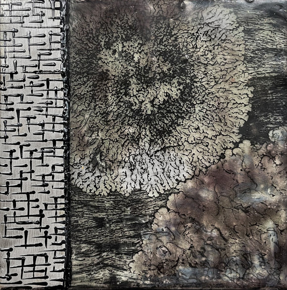 Lichen This
