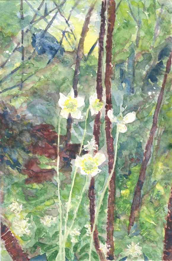 Habitat