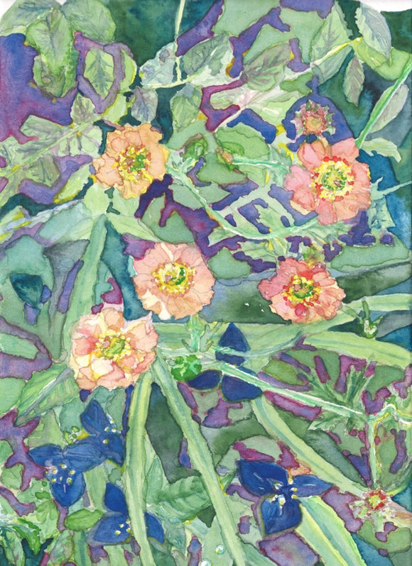 Geum & spiderwort