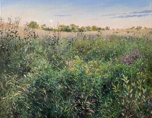 Prairie Moonrise
