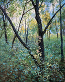 Shagbark Hickory, Early Fall-1