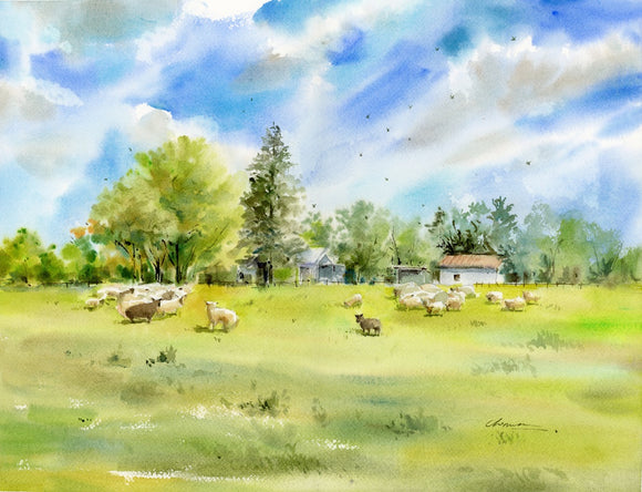 Sheep Farm