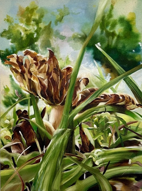Mushroom