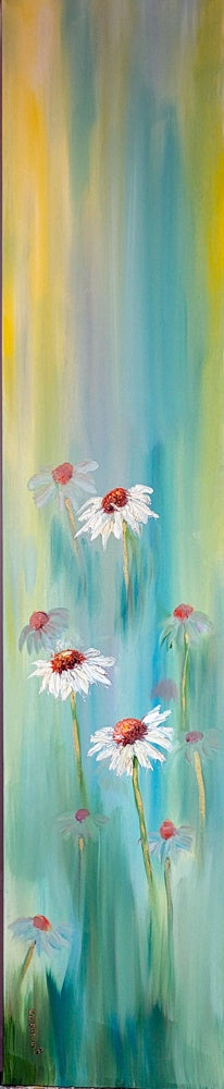 Daisies