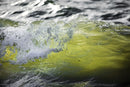 Greens-1