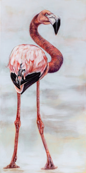 "Hey You!"  Flamingo