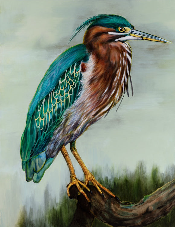 Green Heron