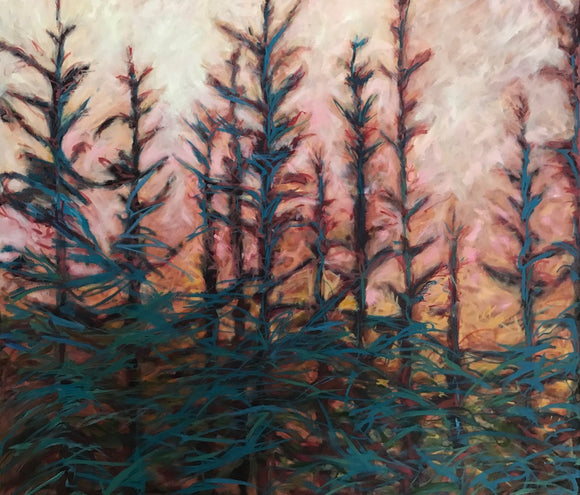 Balsam Lake 2