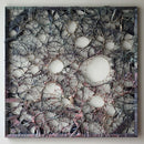 Portals-1
