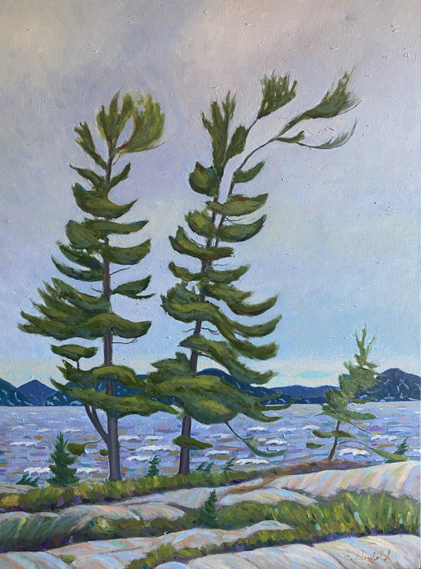 White Pines on Georgian Bay