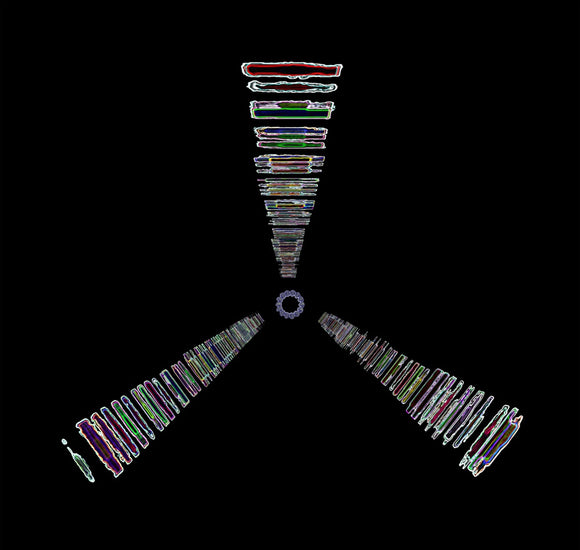 Trisomic Singularity