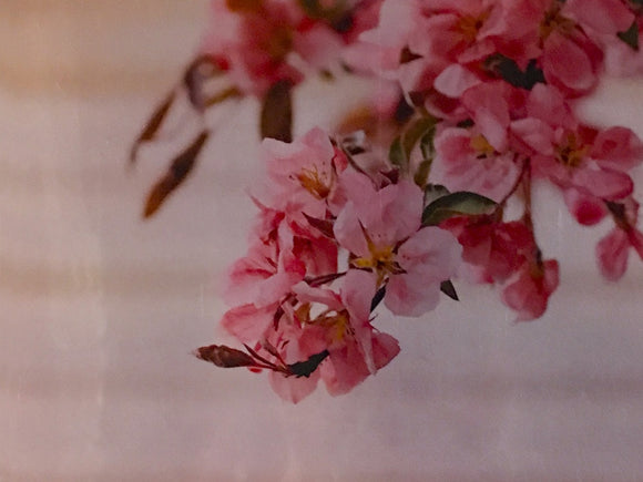 Charismatic Crabapple