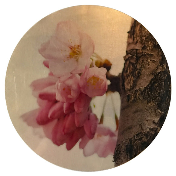 Precious Petals