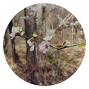 Sylvan Sanctuary-1