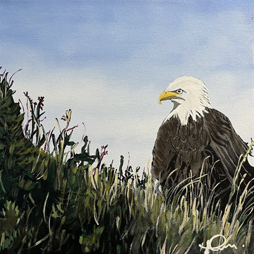 Broad Cove Marsh Eagle