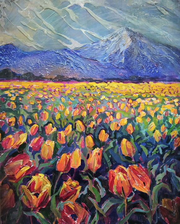 Agassiz tulips. BC