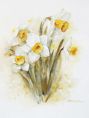 Daffodil-1