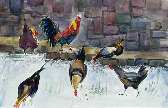 My Chickens Again