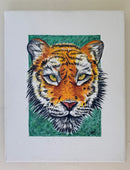 Tiger-2