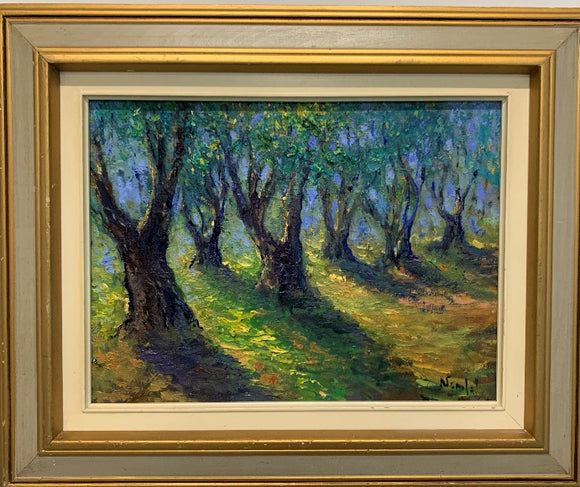 Oran olive trees 2